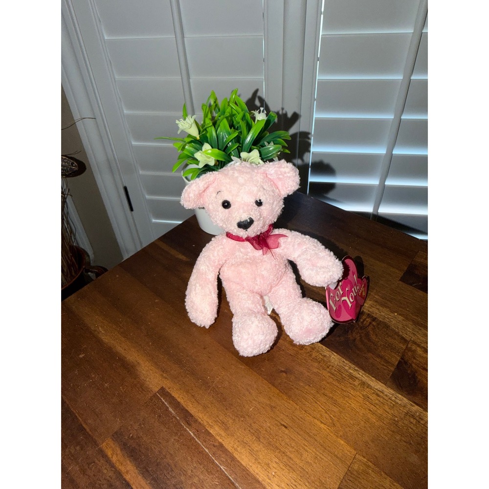 Dakin Applause Pink Teddy Bear Plush For You Heart Tag Valentine 8 Inch 52120